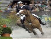 Swıtzerland Equestrıan