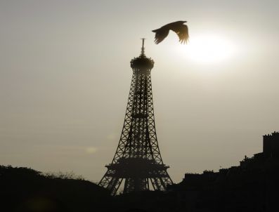 EIFFEL TOWER - France Weather