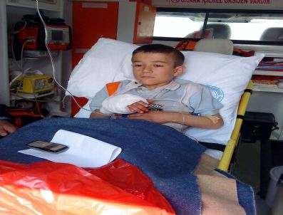 CEMAL ŞAHIN - Köstebek Tuzağına Yakalanan Çocuk Elinden Yaralandı