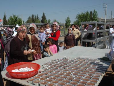 ARİF SAĞ - Şanlıurfa'da 7. Aşure Ve Kültür Etkinliğinde 10 Bin Kişiye Aşure Dağıtıldı