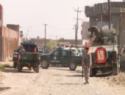 Afghanıstan Donkey Bomb Blast