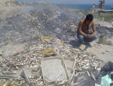 NURULLAH ERTAŞ - Edremit'te Kaçak Balık Avcılığına Geçit Yok