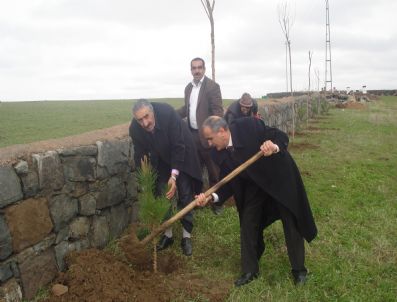İSMET ASLAN - Hamur'un Yeni Mezarlığı Yeşillendiriliyor