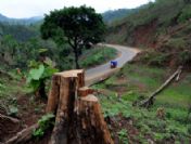 Indıa Deforestatıon