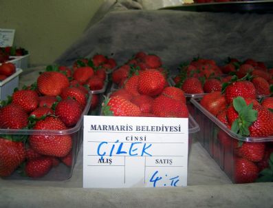 Çilek Her Derde Deva