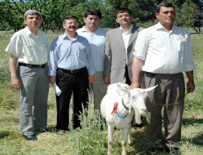 Çomü'de Ulusal Keçicilik Kongresi Düzenlenecek