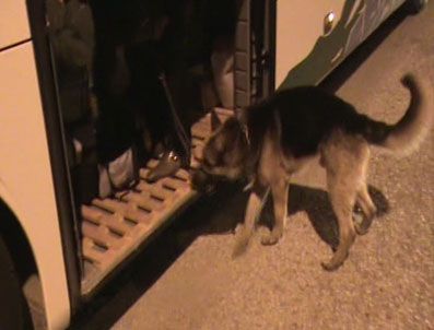 LEON - Kaza geçiren narkotik köpeği zimmetten düşürüldü