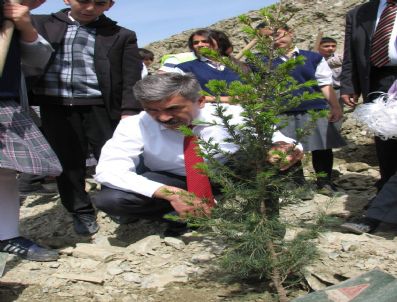 Tokat Belediyesi 17 Bin 150 Adet Fidanı Toprakla Buluşturdu