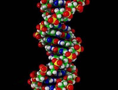 CERRAHPAŞA - Türk doktordan sakat doğumlarını bitirecek buluş