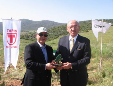 TARIŞ ZEYTIN - Ege Orman Vakfı'nın Tariş'e Vefa Borcu