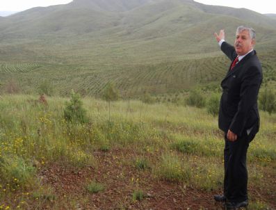 Gaziantep'te Ağaçlandırma Çalışması Hızla İleriliyor