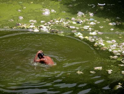 Indıa World Earth Day