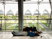 Thaıland Flıght Volcano