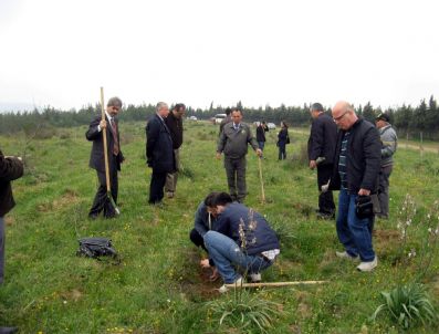 RONA YıRCALı - Liseliler Fidan Dikti