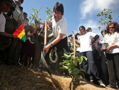 Bolıvıa Morales Starts Campaıgn To Plant 10 Mıllıons Of Trees