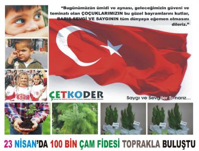 ÇEVRE VE TÜKETICI HAKLARıNı KORUMA DERNEĞI - Çetkoder 100 Bin Çam Fidesini Toprakla Buluşturdu