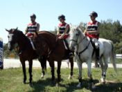 Gelibolu Yarımadası'nda Atlı Jandarma