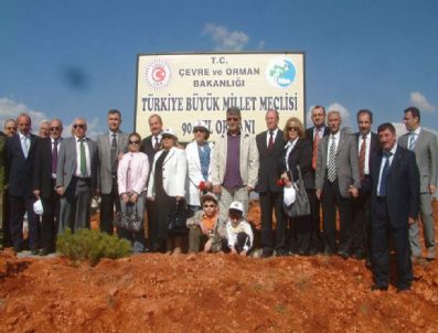 ABDULLAH ERDEM CANTİMUR - Kütahya'da Tbmm Ormanı...