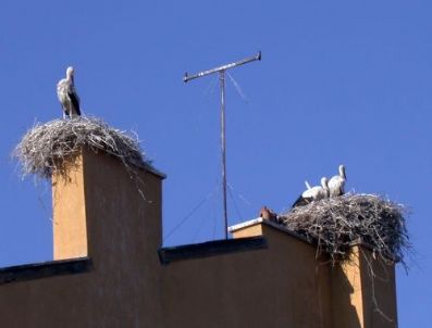 TÜRKMENISTAN DEVLET BAŞKANı - Türkmenistan Devlet Başkanı Berdimuhamedov, Çin'e gidiyor