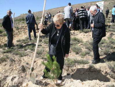 Yozgat Gönüllüleri Bozok Üniversitesi Kampus Alanına 5 Bin Fidan Dikti