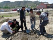 Osmancık'ta Ağaçlandırma Seferberliği