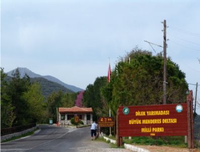 ÇEVRE VE ORMAN BAKANı - Çevre Ve Orman Bakanlığı Arıcılığı Destekliyor