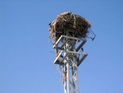ÇıTAK - Mersin'de aile hekimliği uygulamasına 5 Temmuz'da geçilecek