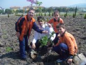 Gönen'e Botanik Park