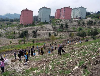 AYDıN MEMÜK - Sevgi Ormanı'nda Ağaçlandırma Kampanyası