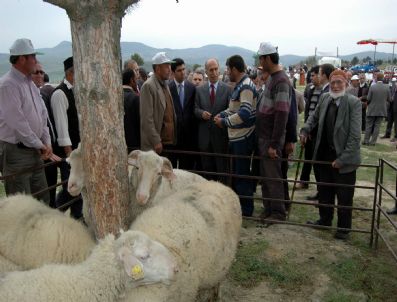 İRFAN TATLıOĞLU - Validen Dağ Köylülerine Koyun Ve Arı Desteği