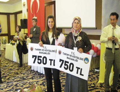 SERPİL YILMAZ - Aydınlı Bayan Çiftçiler Yarışmada 3. Oldu