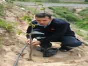 İtfaiye Ekipleri Fidan Dikti