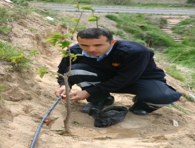 İtfaiye Ekipleri Fidan Dikti