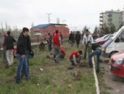 Pasinler'de 2 Bin 500 Fidan Toprakla Buluşturuldu