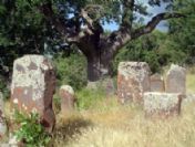 Saim Orhan, Çorumlu iş adamlarına dünyaya açılmanın önemini anlattı