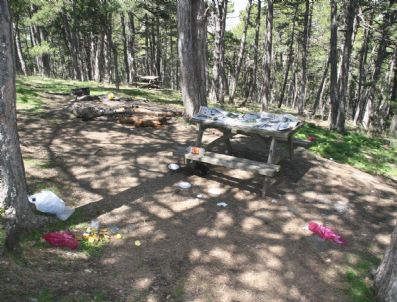 BIROL AYYıLDıZ - Yozgat Çevre Orman Müdürü Birol Ayyıldız, Piknik Alanlarının Temiz Bırakılması Konusunda Vatandaşları Uyardı