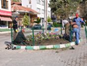 Elmalı Belediyesi'nden 35 Bin Çiçek