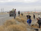 Iğdır'da 458 Bin Fidan Dikimi Gerçekleştirildi