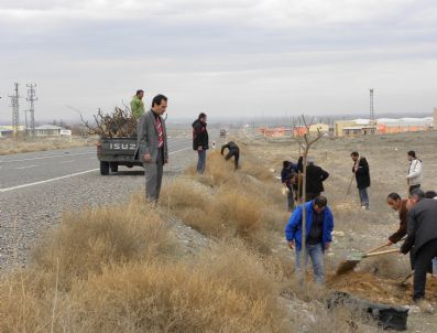 Iğdır'da 458 Bin Fidan Dikimi Gerçekleştirildi