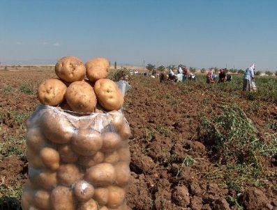 KADıLAR - SDÜ'nün kardeş köy okulu kampanyası devam ediyor