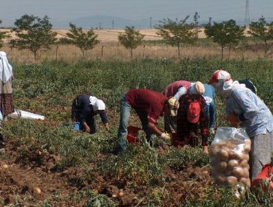 OTOMOTIV SANAYI DERNEĞI - Toyota Türkiye CEO'su Tamer Ünlü: İlk çeyrekteki olumlu gelişim, toparlanma için yeterli değil
