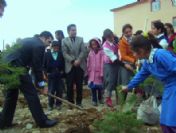 Okullarda Fidan Dikme Kampanyası