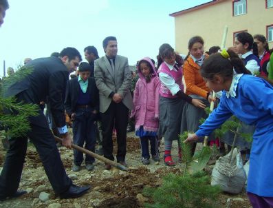 Okullarda Fidan Dikme Kampanyası