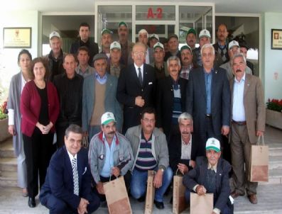 TARIŞ ZEYTIN - Tariş Ortakları, Birlikleri İnceliyor