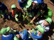 Çocuklardan 'Meyve Bahçesi'