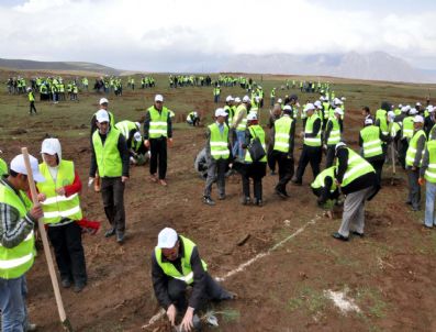 FEHMI ALAYDıN - Önce Fidan Diktiler Sonra Halay Çektiler