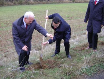 MEHMET BOZKURT - Akkışla'da Fidan Dikimi