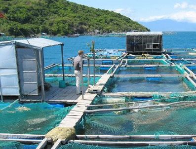 Su Ürünleri seçimini Ahmet Sagun kazandı