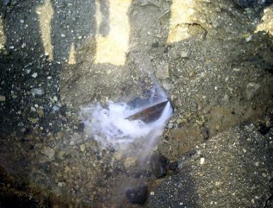 İŞÇI BAYRAMı - 1 Mayıs Tokat'ta bayram havasında kutlandı