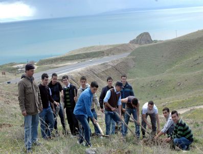 Adilcevaz'da Fidan Dikimi